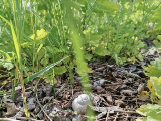 Screenshot 2021-07-28 at 20.57.43